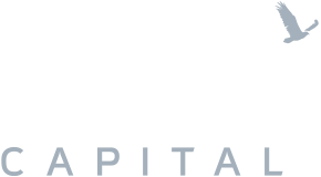 DSK CAPITAL